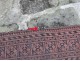 Carpet old wool knotted Anatolia Persian Turkish antique carpet nineteenth century