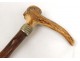 Old cane knob carved antique french cane collection nineteenth