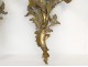 Pair large wall sconces Louis XV rococo gilt bronze foliage 19th