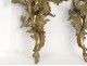 Pair large wall sconces Louis XV rococo gilt bronze foliage 19th
