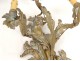 Pair large wall sconces Louis XV rococo gilt bronze foliage 19th