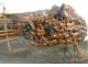 Maquette bateau bouteille 3 mâts diorama falaise remorqueur village XIXème