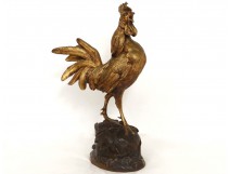 Superbe sculpture bronze doré coq chantant P.Comoléra roaster cock XIXème
