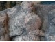Rare granite lions crest character Brittany sixteenth century castle crest