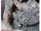 Rare granite lions crest character Brittany sixteenth century castle crest