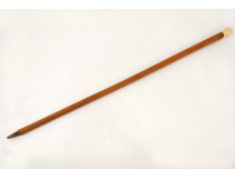 Canne ancienne pommeau bois jonc malacca antique french cane XIXème siècle