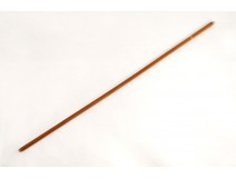 Dandy's walking stick in malacca wood and solid gold, Thomassin eagle head, 19th century