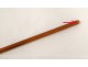 Dandy's walking stick in malacca wood and solid gold, Thomassin eagle head, 19th century