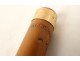 Dandy's walking stick in malacca wood and solid gold, Thomassin eagle head, 19th century