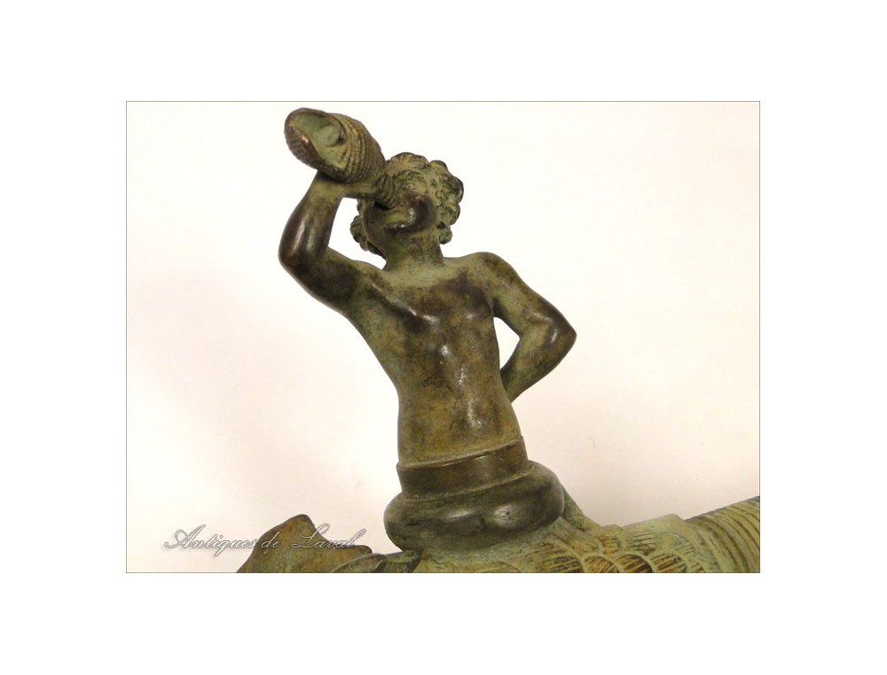 Gros Coquillage Servant D Instrument De Musique