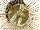 Bird cage golden brass origin Germany, 20th