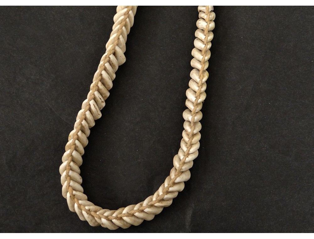 Collier avec coquillage cauris- Bijoux avec cauris - bijoux et coquillages Collier avec coquillage cauris- Bijoux avec cauris - bijoux et coquillages