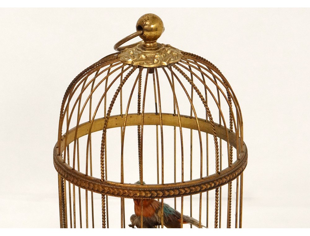 Automate cage à oiseau chanteur musical France Mécanique Siffleur Parfait  État