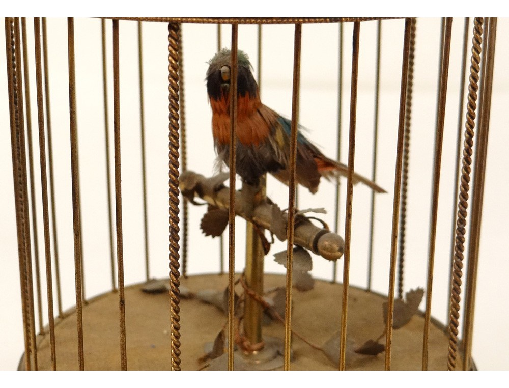 Automate Oiseau Chanteur Siffleur Cage Laiton Doré Boîte