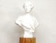 Large sculpture Carrara marble Henri Weigele bust woman woman lady nineteenth