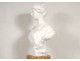 Large sculpture Carrara marble Henri Weigele bust woman woman lady nineteenth