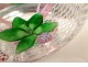 Paperweight sulfide crystal St. Louis flower crystal paperweight XX