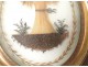 Miniature travail de cheveux gerbe blé souvenir feuillage XIXème siècle