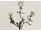 Porcelain bottle vase India Company XVIII famille rose flowers