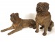 Exceptional torque sculptures English mastiffs dogs earthenware XIX