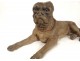 Exceptional torque sculptures English mastiffs dogs earthenware XIX