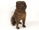 Exceptional torque sculptures English mastiffs dogs earthenware XIX