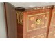Wood marquetry commode Transition pink flowers bronze marble XIXth century