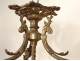 Bronze chandelier crystal chandelier golden brass basket Napoleon III nineteenth