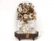 Bridal bouquet shells under glass pearl flowers foliage XIXth century