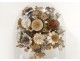 Bridal bouquet shells under glass pearl flowers foliage XIXth century