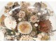 Bridal bouquet shells under glass pearl flowers foliage XIXth century