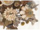 Bridal bouquet shells under glass pearl flowers foliage XIXth century