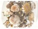 Bridal bouquet shells under glass pearl flowers foliage XIXth century