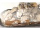 Bridal bouquet shells under glass pearl flowers foliage XIXth century