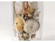 Bridal bouquet shells under glass pearl flowers foliage XIXth century