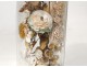 Bridal bouquet shells under glass pearl flowers foliage XIXth century