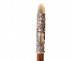 Cane former Indochina ancient dragon silver metal cane wood XIXth century