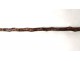 Cane former geologist thorny wooden cane pommel hammer twentieth metal