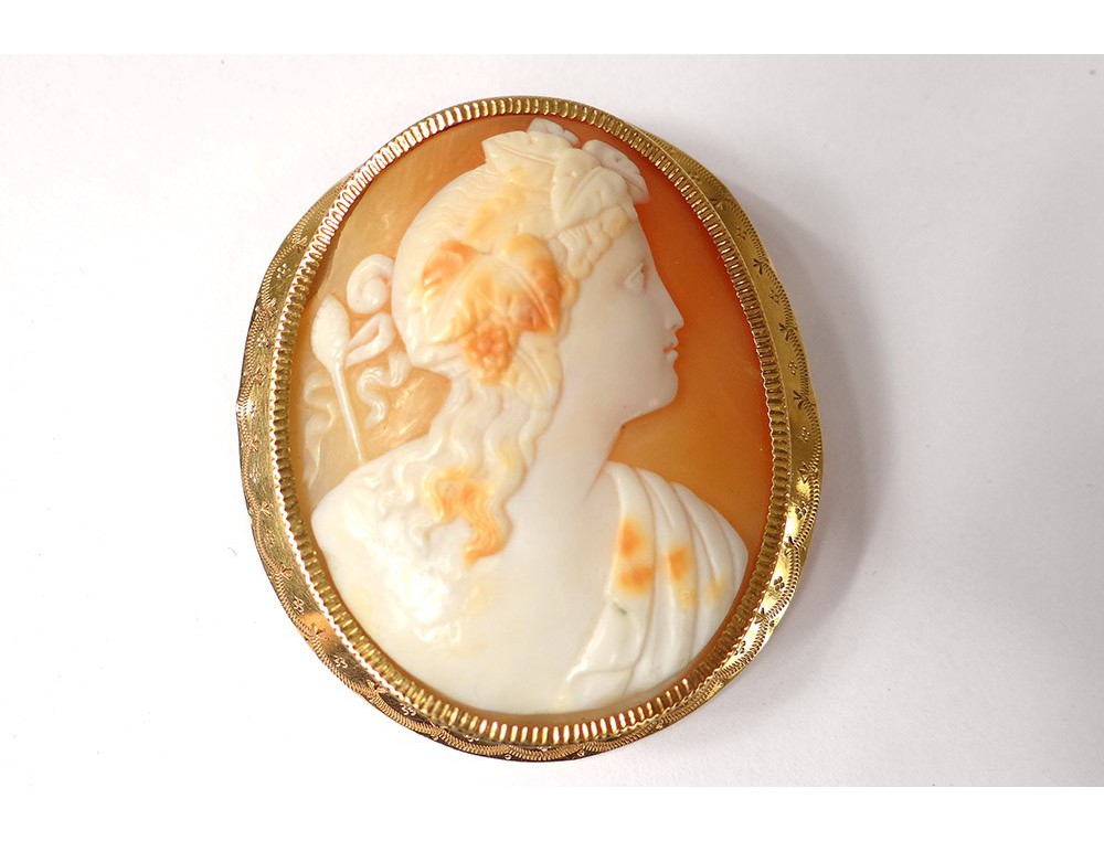 Broche Camée Ancienne – Portrait Profil Jeune Femme – Bijou Vintage Pour Collection Ou Vitrine