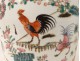 Chinese porcelain vase roosters butterflies flowers green bamboo Family XVIIIè