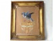 Gouache painting Blue Jay bird cayenne Lamotte palms framework nineteenth