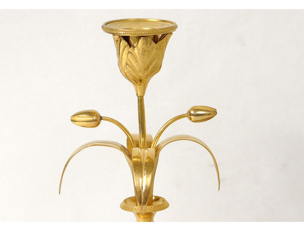 candlesticks Pair of Louis XVI gilt bronze marble white flower vases XVIII