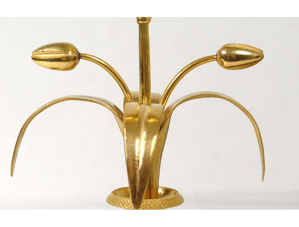 candlesticks Pair of Louis XVI gilt bronze marble white flower vases XVIII