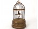 singing bird automaton whistler golden brass cage box nineteenth music