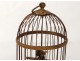 singing bird automaton whistler golden brass cage box nineteenth music