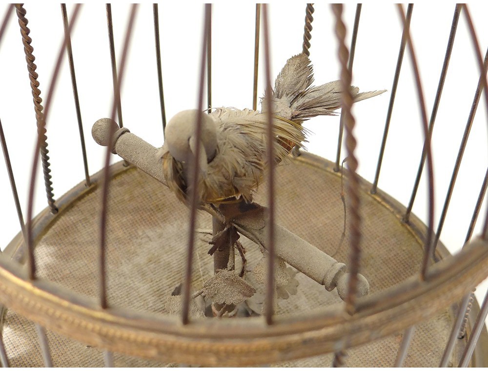 Automate Oiseau Chanteur Siffleur Cage Laiton Doré Boîte