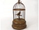 singing bird automaton whistler golden brass cage box nineteenth music