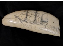 Scrimshaw whale tooth walrus ivory engraved nineteenth boat sailing ship