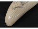 Scrimshaw whale tooth walrus ivory engraved nineteenth boat sailing ship