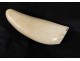 Scrimshaw whale tooth walrus ivory engraved nineteenth boat sailing ship